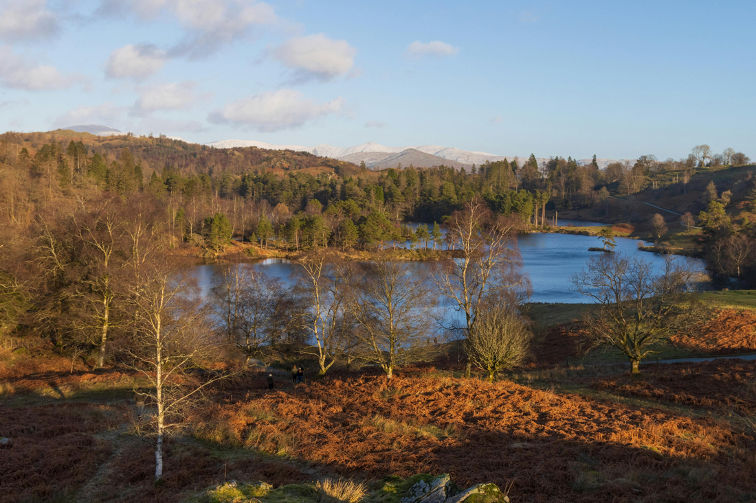 Top Five UK Winter Walks for Casual Strollers - Monty Booch